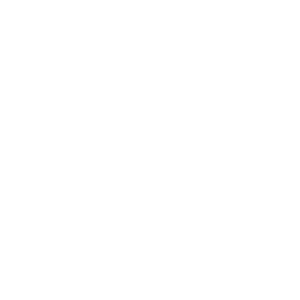 DZEN BURO